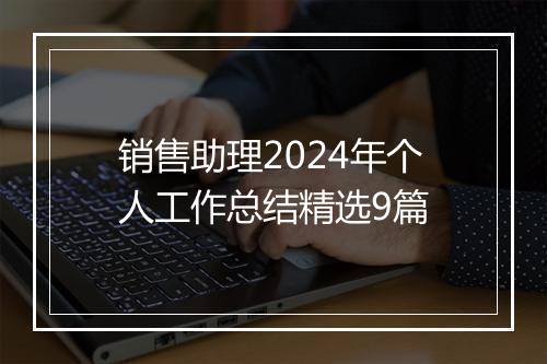 销售助理2024年个人工作总结精选9篇