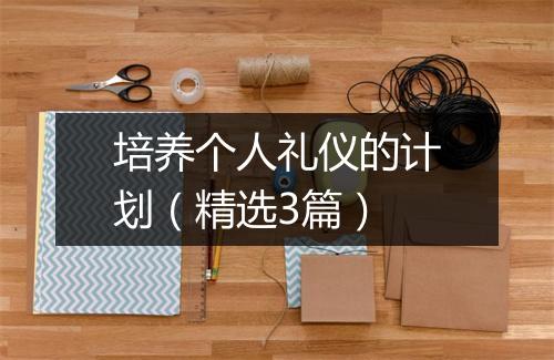 培养个人礼仪的计划（精选3篇）