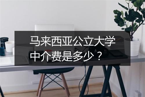 马来西亚公立大学中介费是多少？