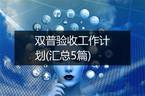 双普验收工作计划(汇总5篇)