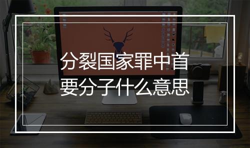 分裂国家罪中首要分子什么意思