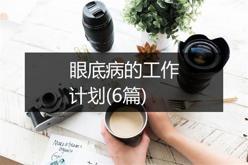 眼底病的工作计划(6篇)