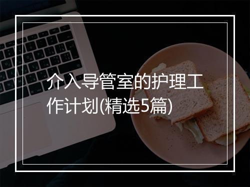 介入导管室的护理工作计划(精选5篇)