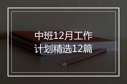 中班12月工作计划精选12篇