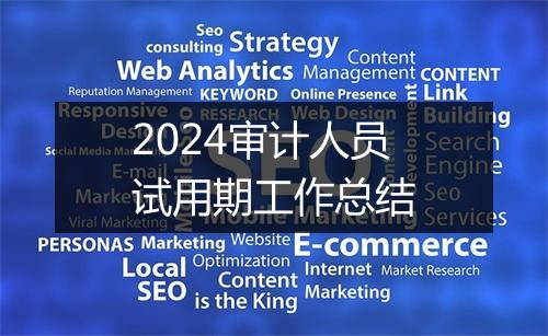 2024审计人员试用期工作总结