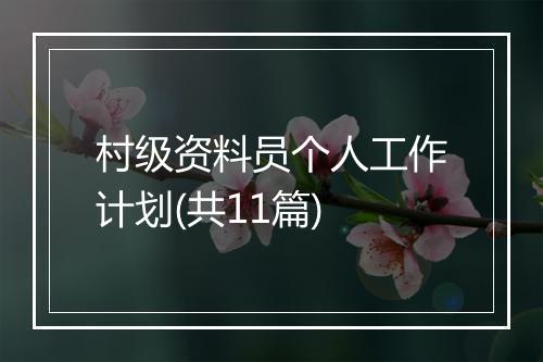 村级资料员个人工作计划(共11篇)