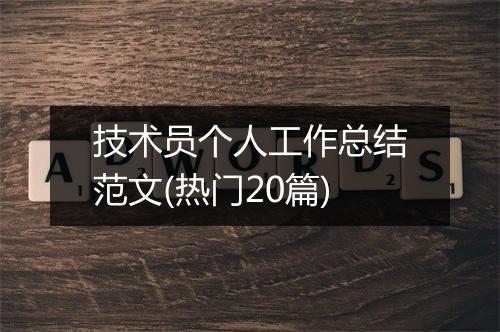 技术员个人工作总结范文(热门20篇)