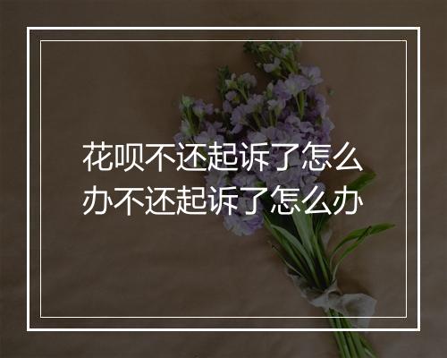 花呗不还起诉了怎么办不还起诉了怎么办