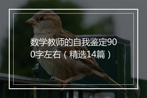 数学教师的自我鉴定900字左右（精选14篇）