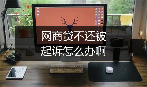 网商贷不还被起诉怎么办啊