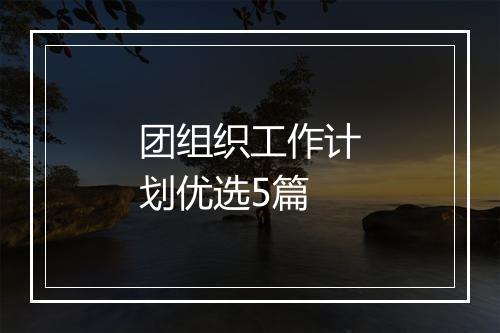 团组织工作计划优选5篇