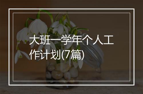 大班一学年个人工作计划(7篇)