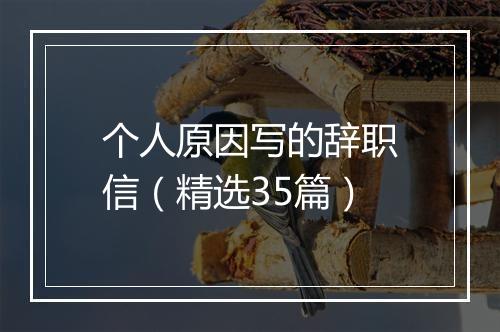 个人原因写的辞职信（精选35篇）