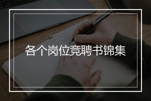 各个岗位竞聘书锦集