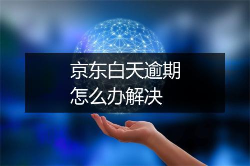 京东白天逾期怎么办解决