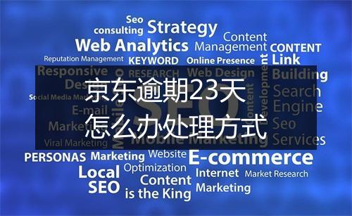 京东逾期23天怎么办处理方式