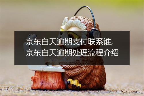 京东白天逾期支付联系谁,京东白天逾期处理流程介绍