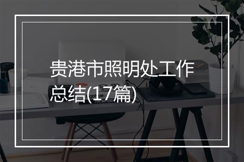贵港市照明处工作总结(17篇)