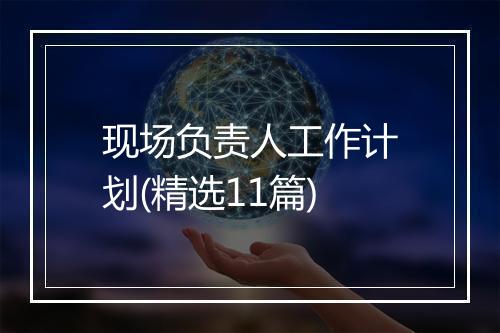 现场负责人工作计划(精选11篇)