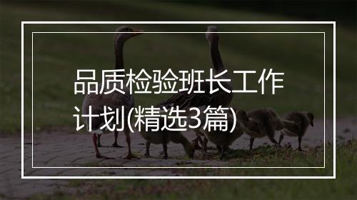 品质检验班长工作计划(精选3篇)