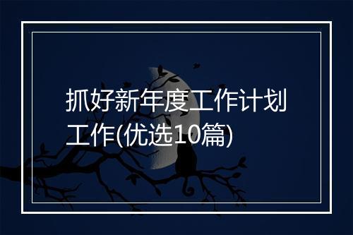 抓好新年度工作计划工作(优选10篇)