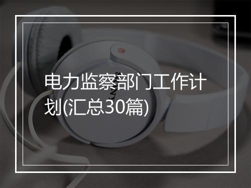 电力监察部门工作计划(汇总30篇)