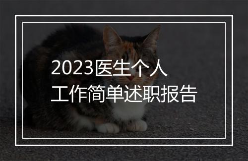 2023医生个人工作简单述职报告