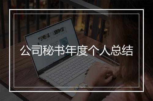 公司秘书年度个人总结