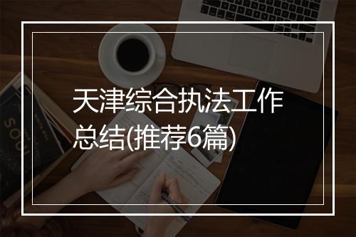 天津综合执法工作总结(推荐6篇)