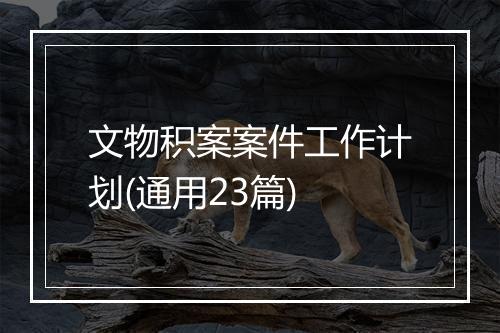 文物积案案件工作计划(通用23篇)
