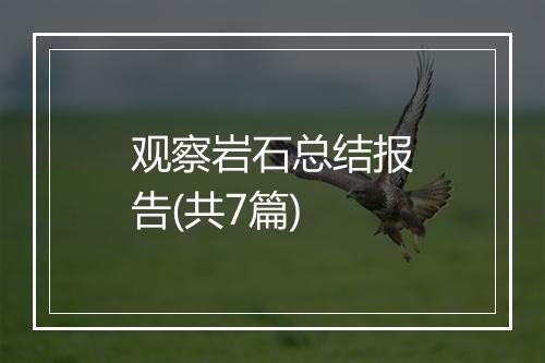 观察岩石总结报告(共7篇)