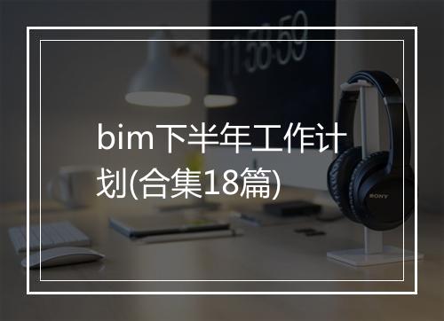bim下半年工作计划(合集18篇)