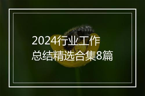 2024行业工作总结精选合集8篇