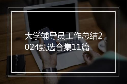 大学辅导员工作总结2024甄选合集11篇