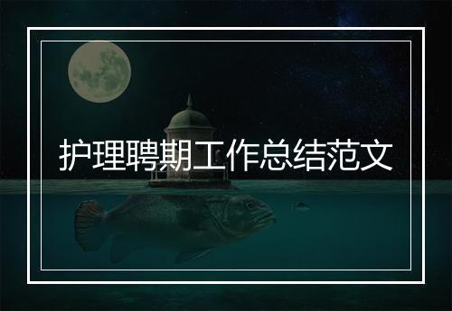 护理聘期工作总结范文