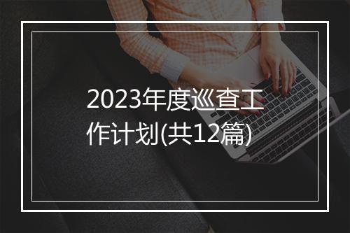 2023年度巡查工作计划(共12篇)