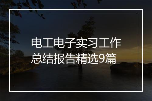 电工电子实习工作总结报告精选9篇