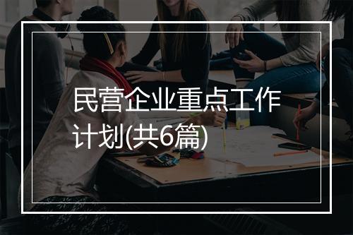 民营企业重点工作计划(共6篇)