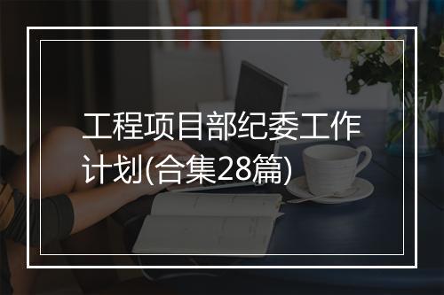 工程项目部纪委工作计划(合集28篇)