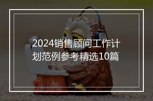2024销售顾问工作计划范例参考精选10篇