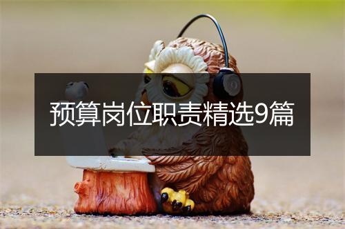 预算岗位职责精选9篇