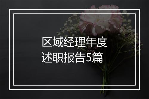 区域经理年度述职报告5篇