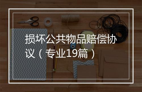 损坏公共物品赔偿协议（专业19篇）