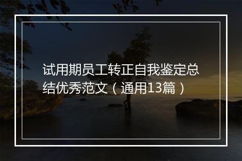试用期员工转正自我鉴定总结优秀范文（通用13篇）