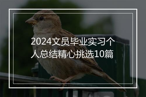 2024文员毕业实习个人总结精心挑选10篇
