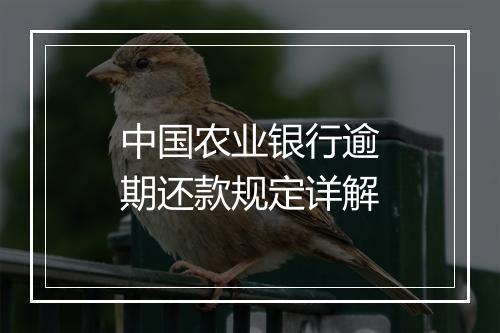 中国农业银行逾期还款规定详解