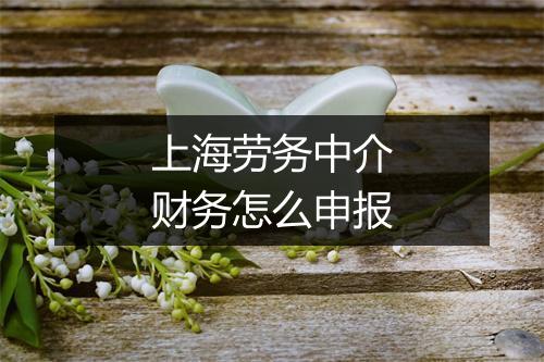 上海劳务中介财务怎么申报