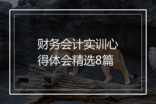 财务会计实训心得体会精选8篇