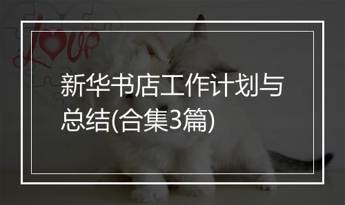 新华书店工作计划与总结(合集3篇)