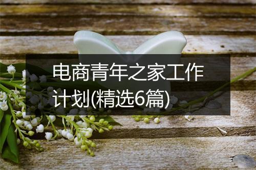 电商青年之家工作计划(精选6篇)